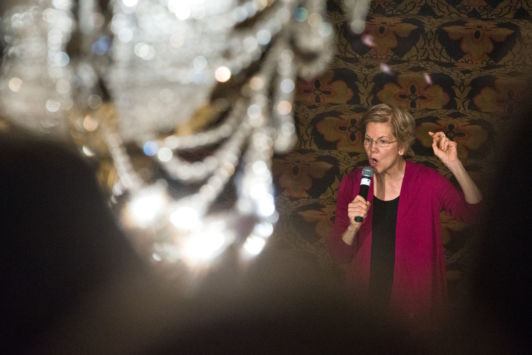 DEM Elizabeth Warren